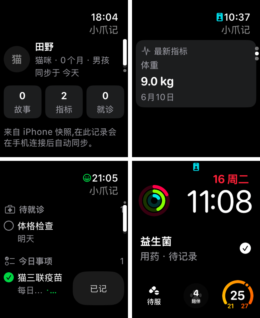 Watch App 主界面截图